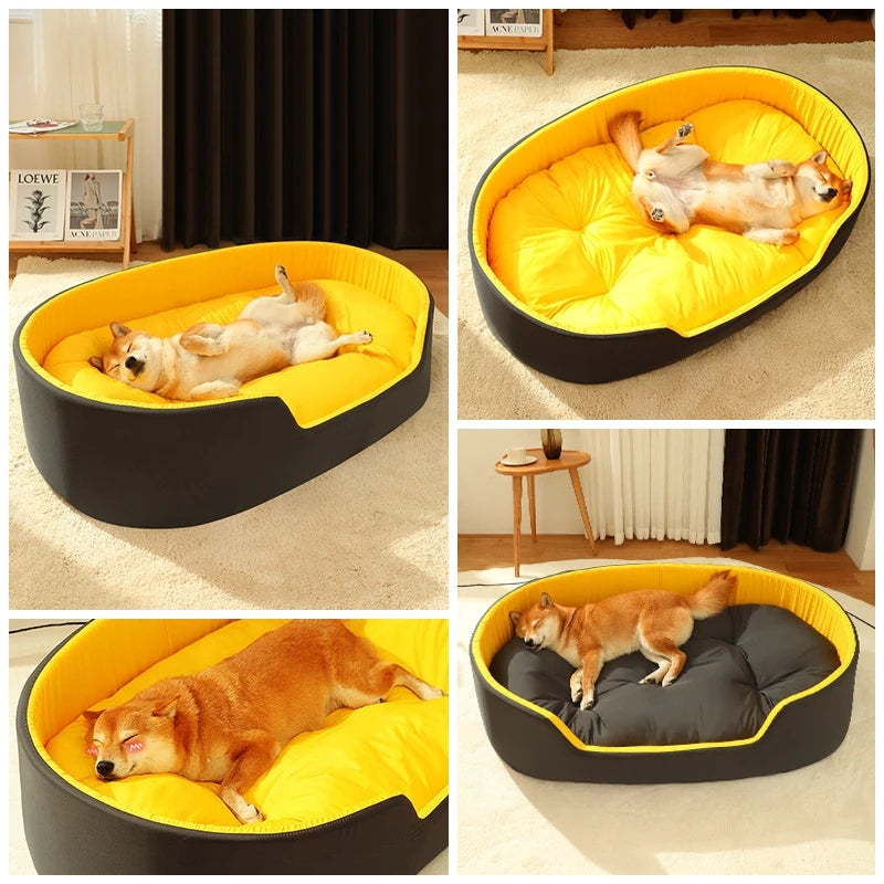 dog bed