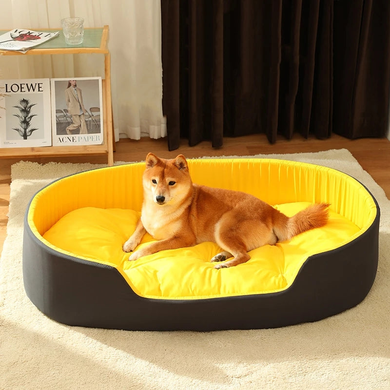dog bed