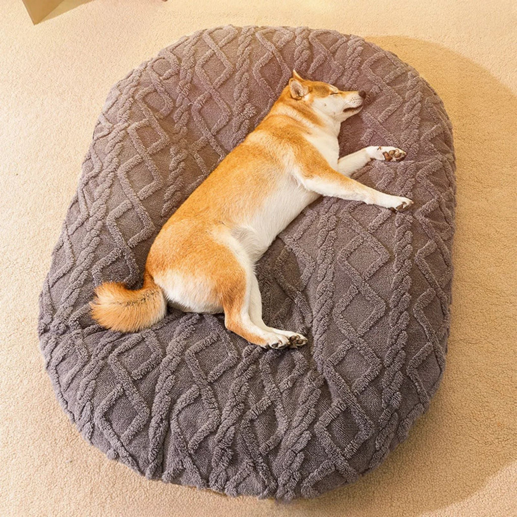 Large Dogs Beds