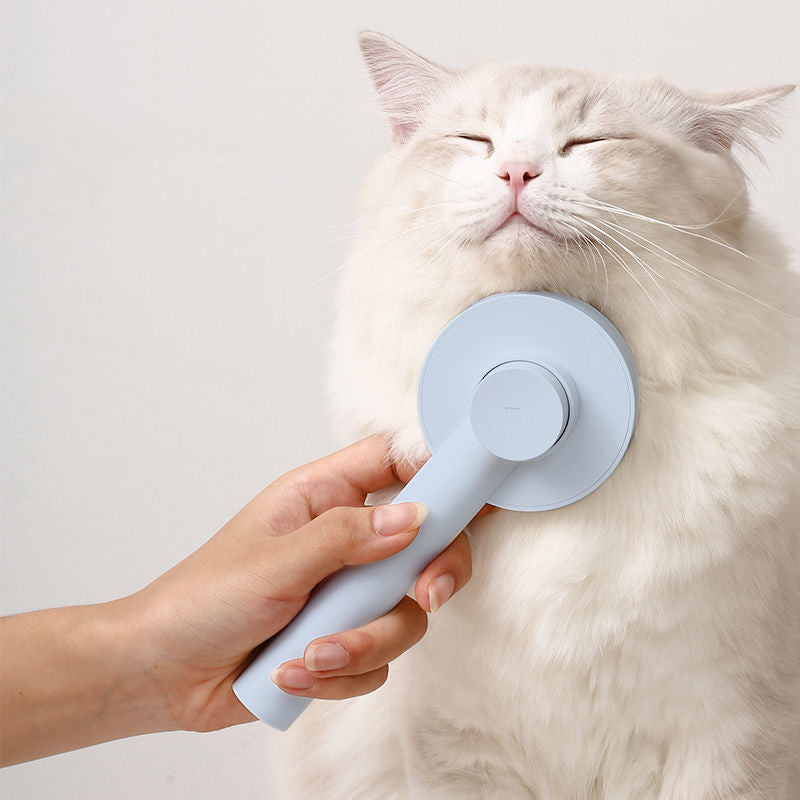 hair dryer brush