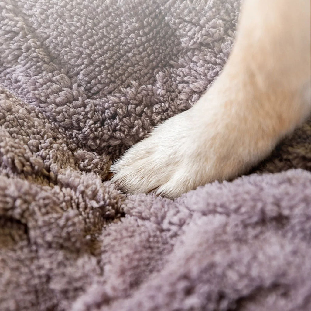 Large Dogs Beds