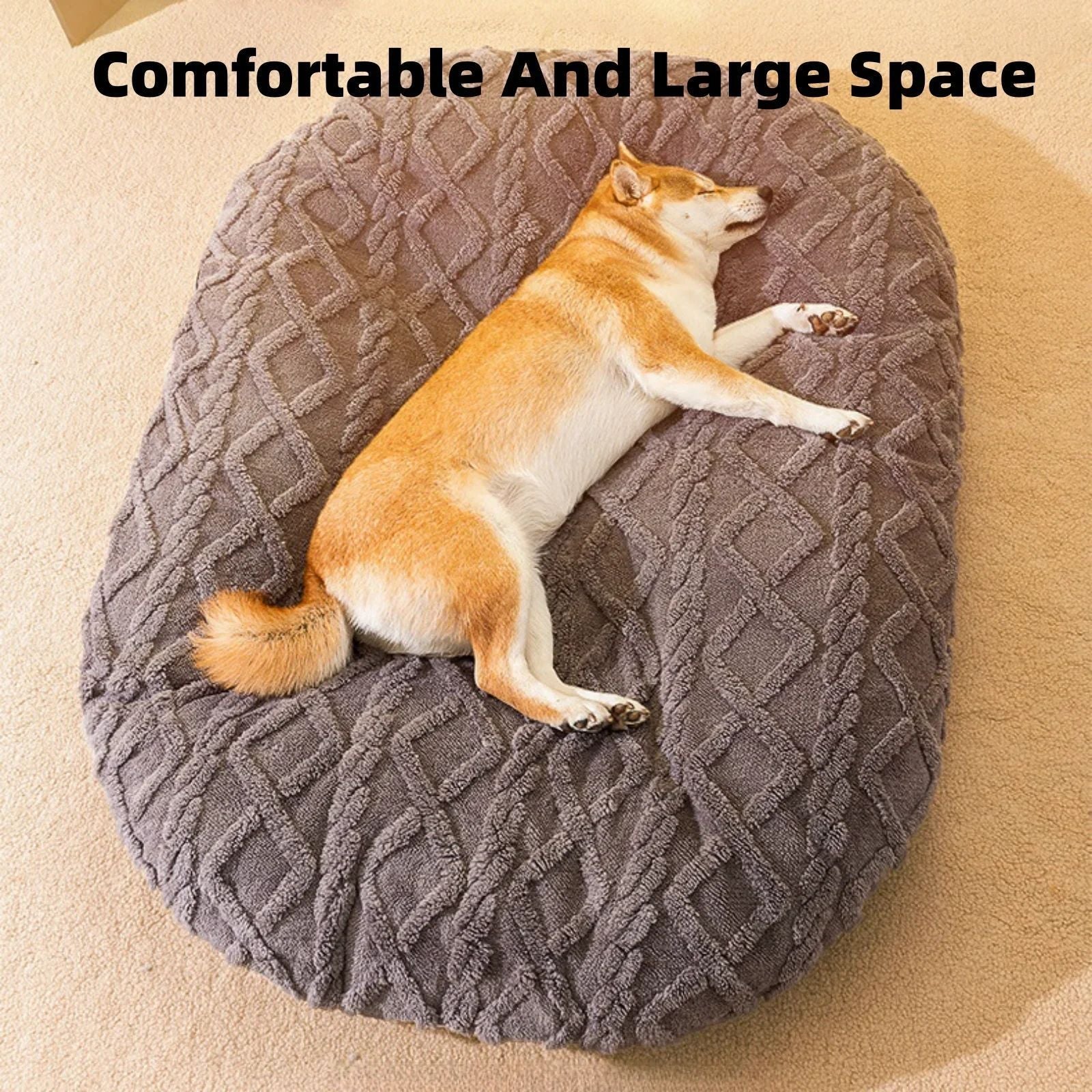 Large Dogs Beds