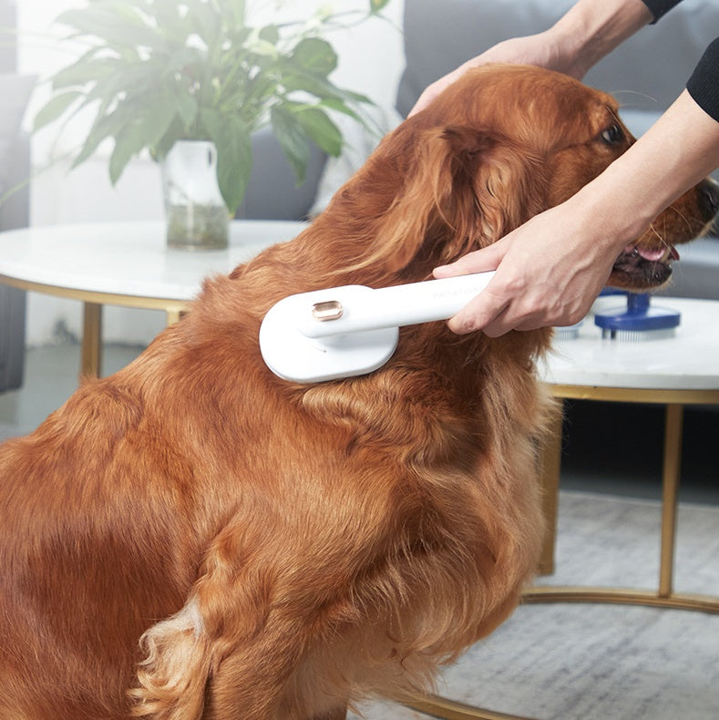 dog hair grooming