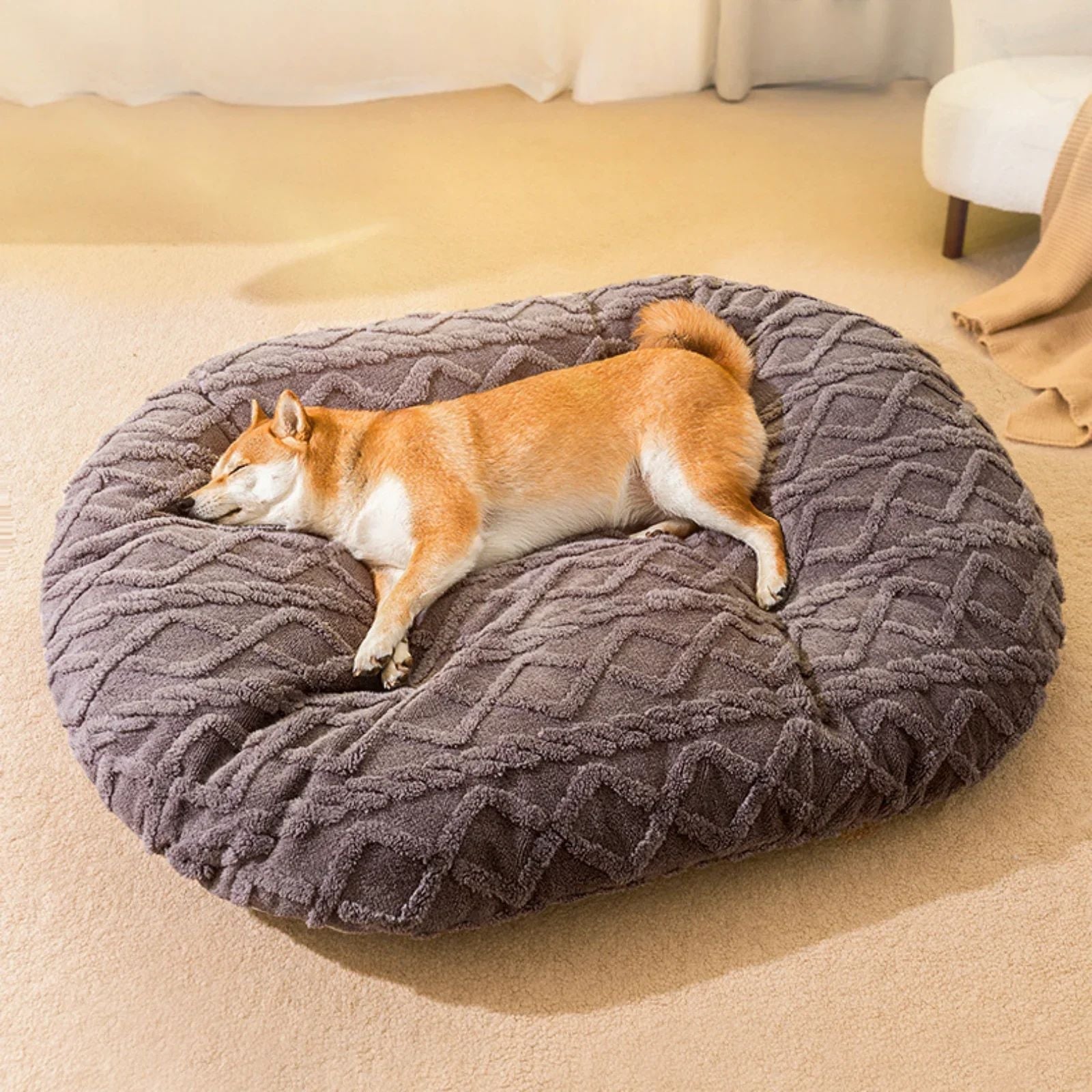 Large Dogs Beds