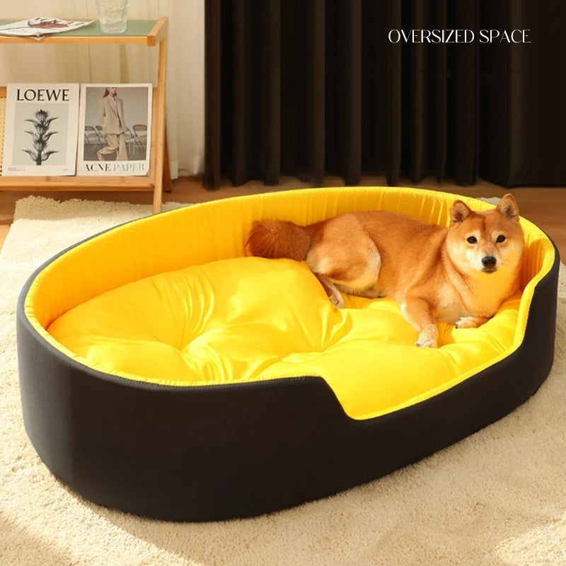 dog bed
