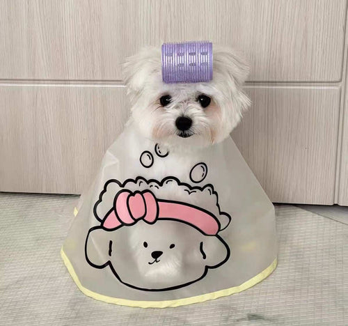 Bath Clean Pet Dog Cat grooming cape in translucent material with yellow trim and a cartoon dog wearing a pink bow, shown on a small white dog