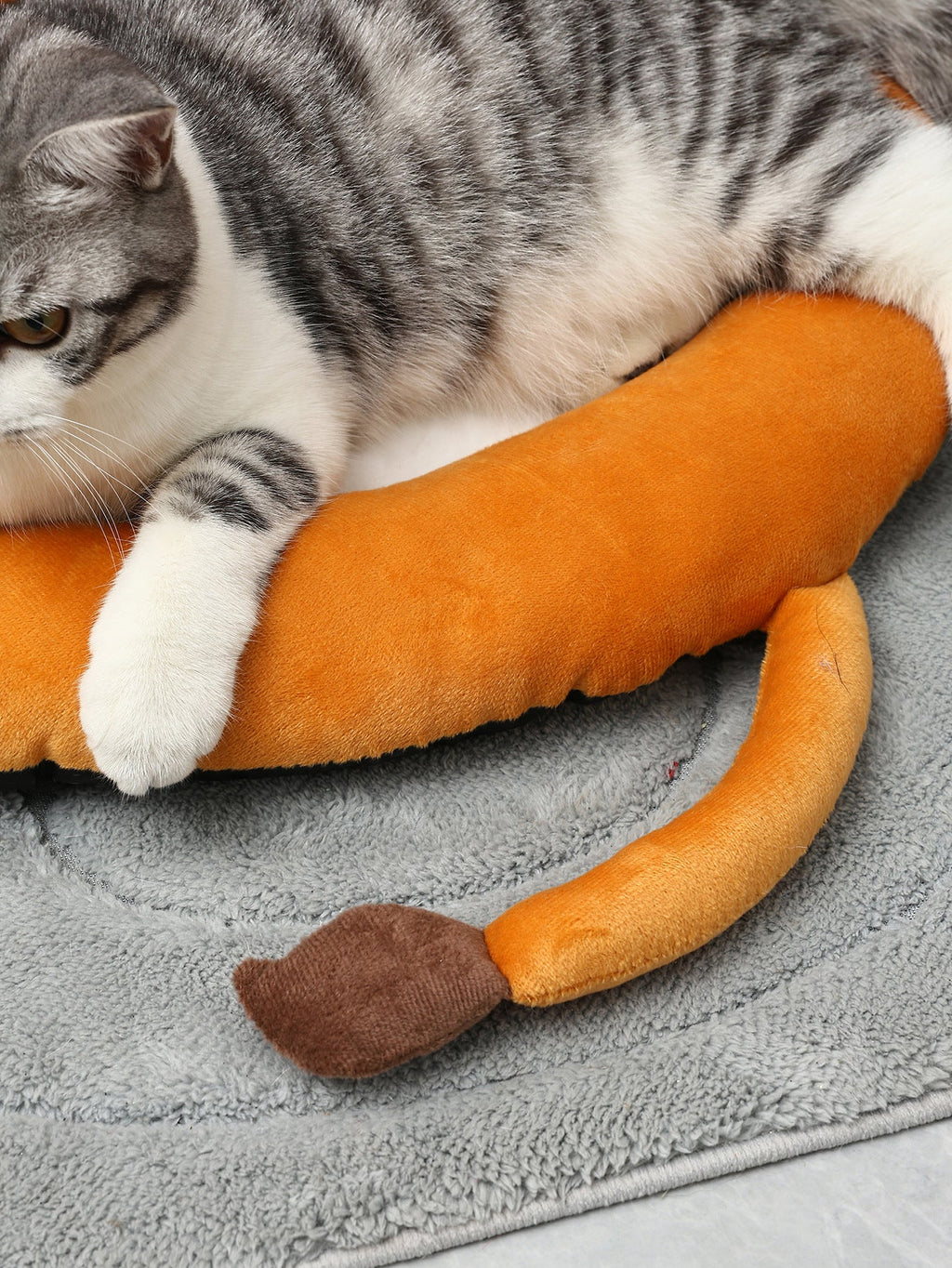 Pet Bed