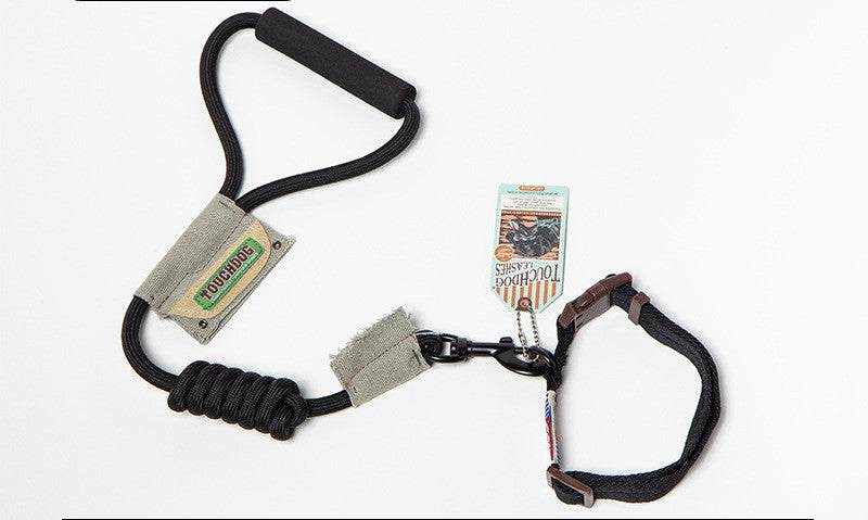 Dog Leash, Leash with black nylon straps, padded handle and adjustable loop, plus beige fabric label patches.