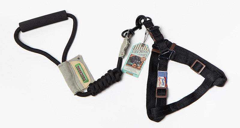 Dog Leash, Leash with black nylon webbing, padded handle, elastic shock-absorbing section and adjustable harness straps