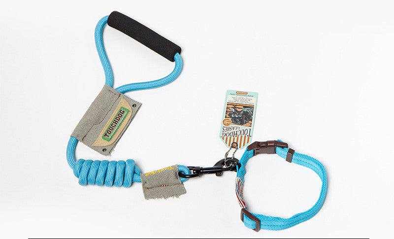Dog Leash, Leash in bright blue nylon with a coiled section, padded black handle, and adjustable wrist loop