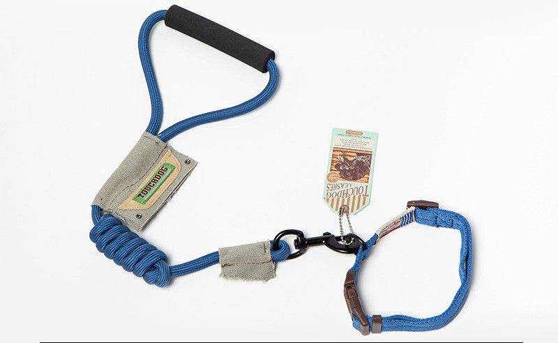 Dog Leash, Leash in blue nylon with a padded black handle, reinforced stitching and a matching adjustable collar loop