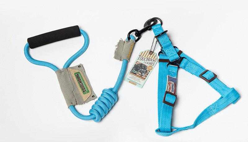 Dog Leash, Leash in bright blue nylon with a padded handle, coiled section and adjustable chest harness