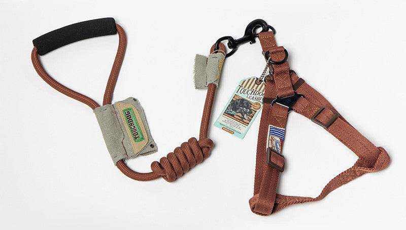 Dog Leash, Leash in brown nylon with a coiled section, padded handle, and matching adjustable chest harness