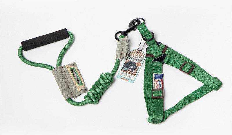 Dog Leash, Leash in green nylon with a coiled bungee section, padded handle, and adjustable chest harness straps