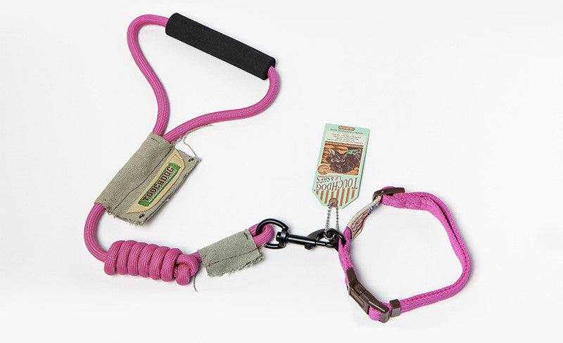 Dog Leash, Leash in pink nylon with a padded handle, coiled shock-absorbing section and adjustable collar loop