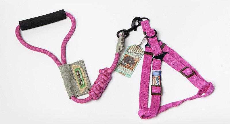 Dog Leash, Leash in bright pink nylon with a padded black handle, coiled section and adjustable matching harness