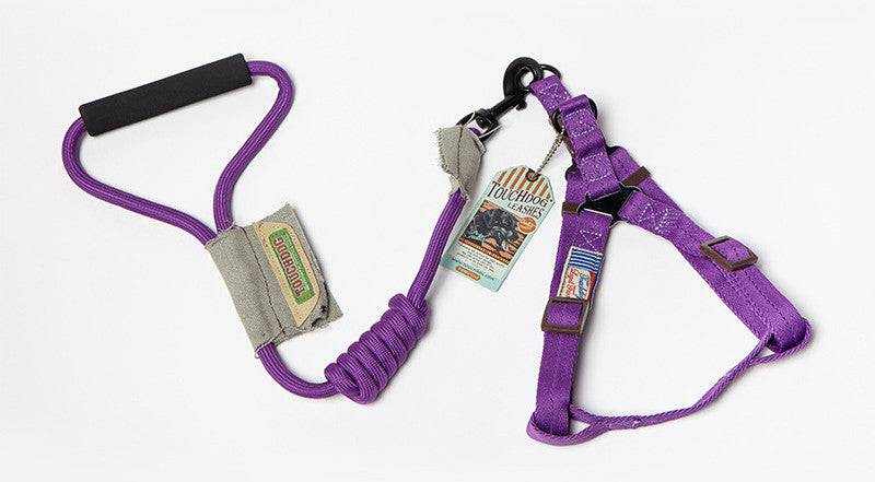 Dog Leash, Leash set in purple nylon with a black padded handle, elastic coil, and matching adjustable harness