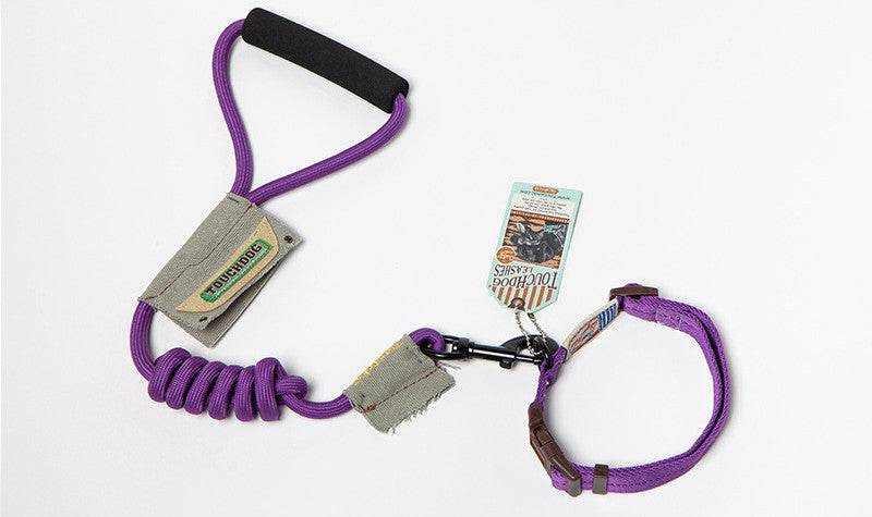 Dog Leash, Leash in purple nylon with a coiled section, black padded handle, and adjustable matching collar