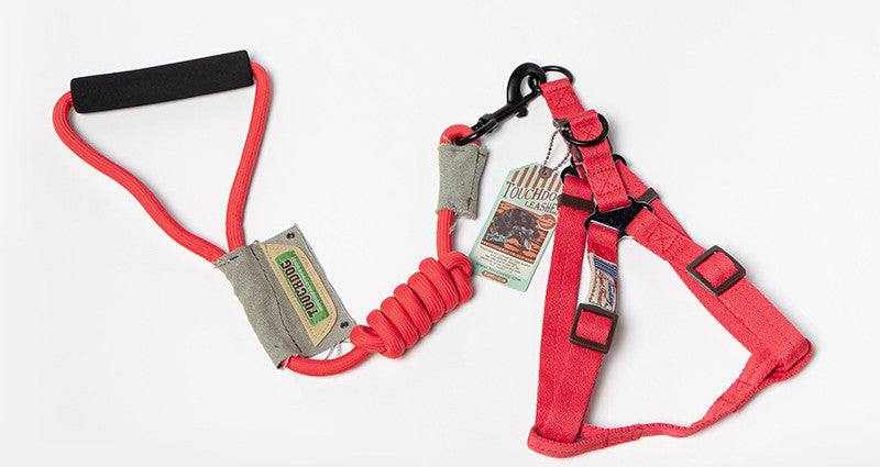 Nylon dog leash and harness in red, with padded handle, coiled section, adjustable chest straps and metal clips; Dog Leash, Leash