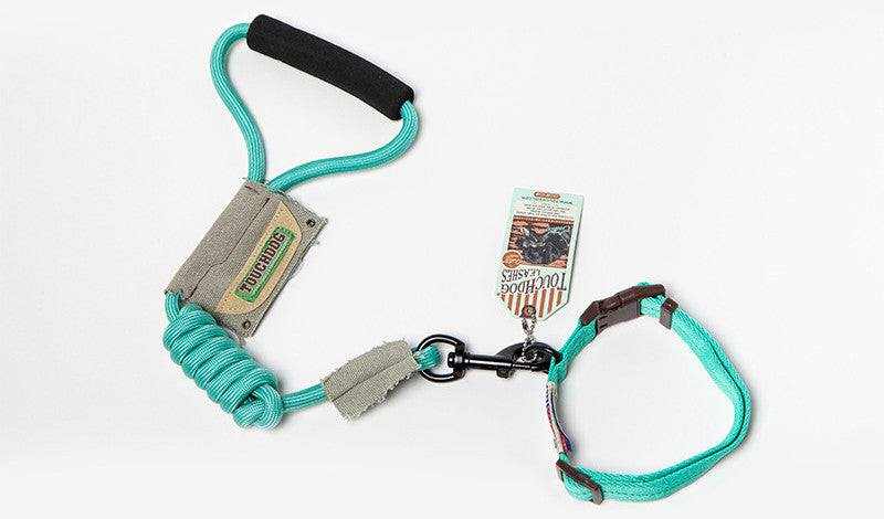 Dog Leash, Leash in turquoise nylon with a coiled lead, padded black handle, and adjustable loop attachment