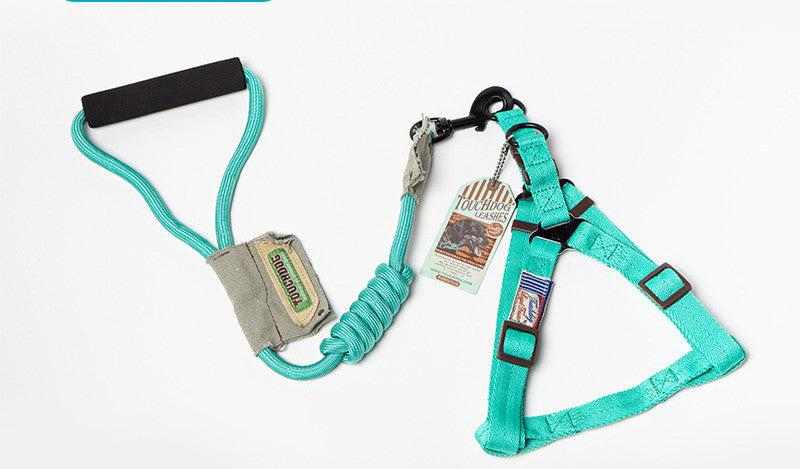 Dog Leash, Leash set in turquoise nylon with a padded handle, coiled lead and adjustable chest harness