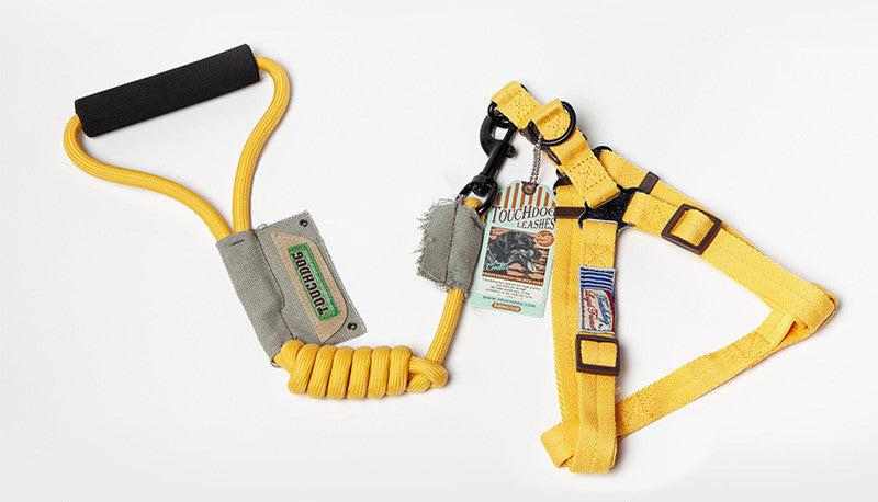 Dog Leash, Leash in bright yellow nylon, with a padded black handle and adjustable chest harness straps