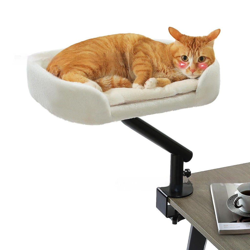 Pet Cat Climbing
