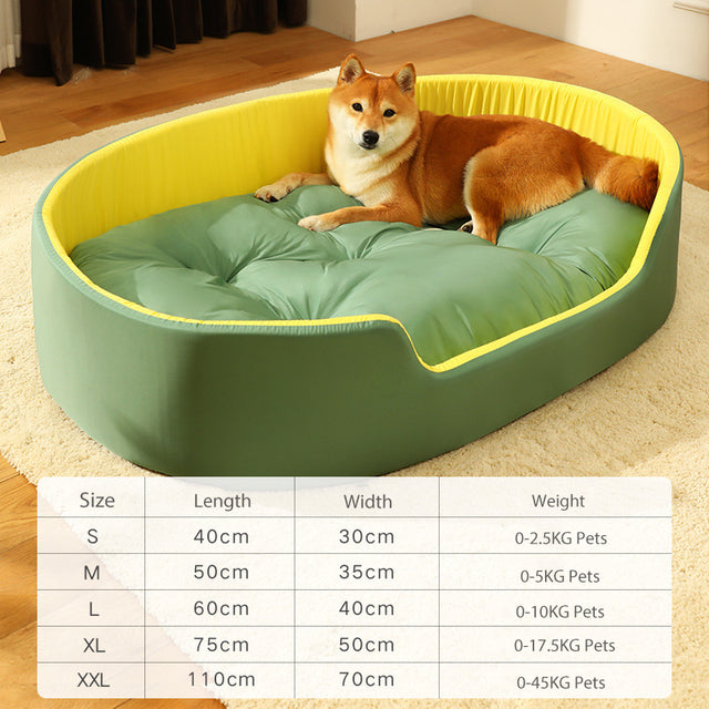 dog bed
