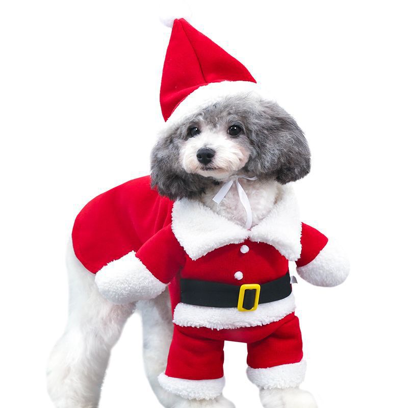 Pet Christmas Decoration red polar fleece Santa costume with white trim, black belt and pointed hat on a small dog
