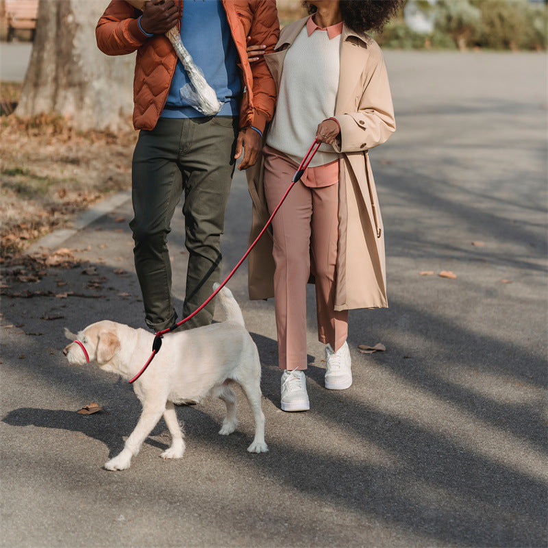Pet Dog Mouth Leash in red nylon attached to a small white dog, with a matching red muzzle strap