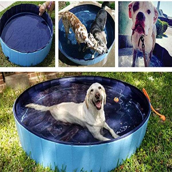 Pet Pool Dog Swimming Pool, round blue collapsible PVC basin with a dark interior shown holding water and dogs