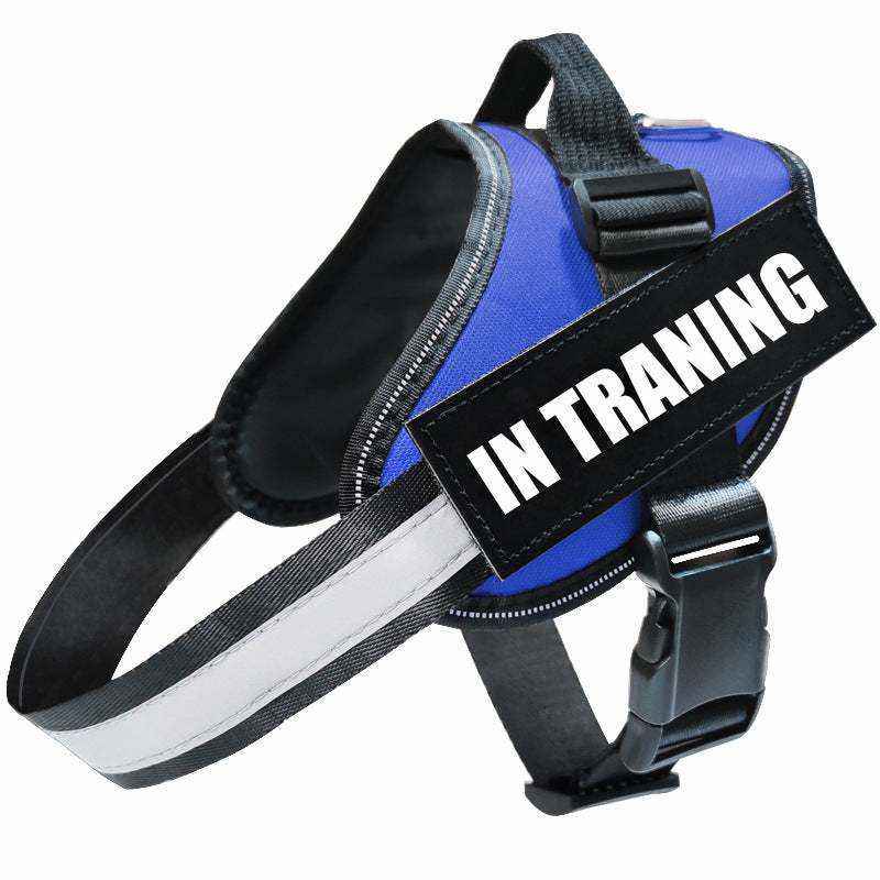 Reflective Dog Leash harness in blue and black polyester with reflective trim, adjustable straps, and an IN TRAINING patch