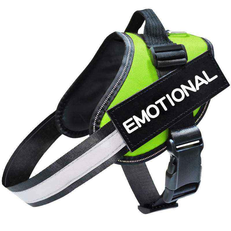 Reflective Dog Leash with a neon green and black polyester dog harness, reflective silver strap and adjustable buckles
