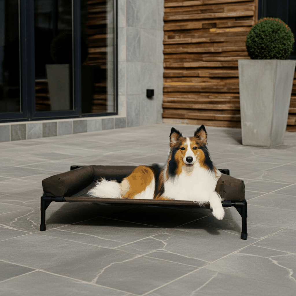 Brown bed set for pets, breathable and warm, suitable for medium and large sizes